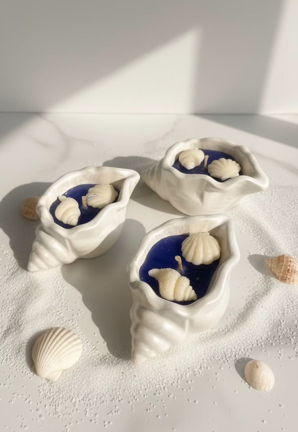 Ocean Breeze Schelpkaars