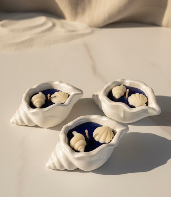 Ocean Breeze Schelpkaars